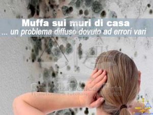 Perizia muffa sui muri errori costruttivi e progettuali