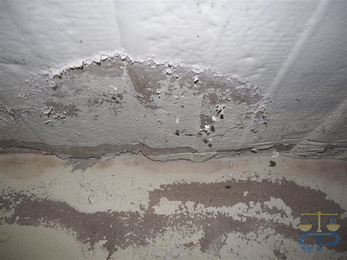 Macchie di umidità e infiltrazione su parete e soffitto: tipico vizio occulto di un immobile