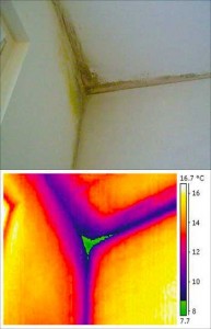 termografia-di-un-ponte-termico-formazione-muffa-muri termografia-di-un-ponte-termico-formazione-muffa-muri