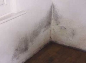umidita-muri-casa-muffa-pareti umidita-muri-casa-muffa-pareti