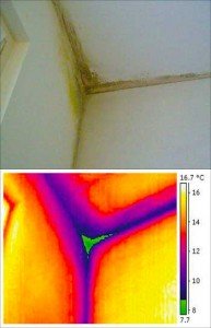 termografia-di-un-ponte-termico-formazione-muffa-muri termografia-di-un-ponte-termico-formazione-muffa-muri